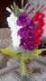 Цветя от хартия-гладиоли, снимка 4