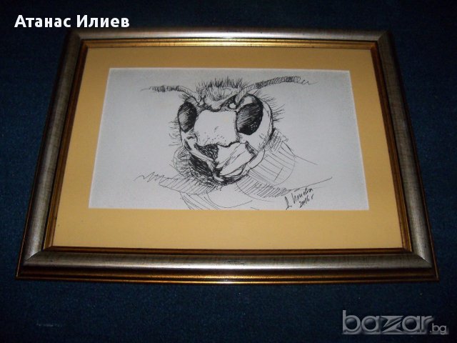 "Стършел - портрет" худ. Десислава Илиева, снимка 2 - Картини - 15945369