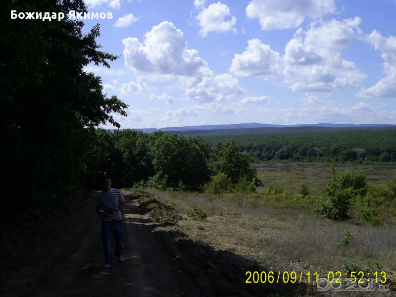 Парцел гора в района на Бяла, област Варна, снимка 1