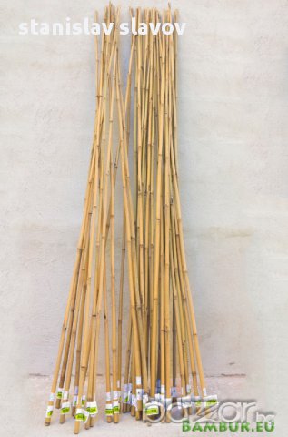 Бамбукови пръчки - колчета градински или декорация - 180 см