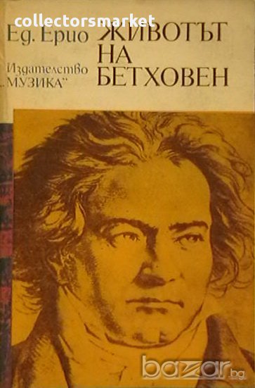 Животът на Бетховен, снимка 1