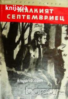 Библиотека Юношески романи: Малкият септемвриец , снимка 1