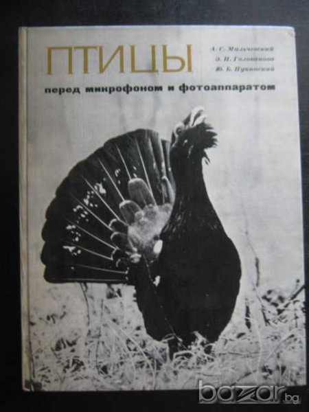 Книга "Птицы перед микроф. и фотоапар.-А.Мальчевский"-208стр, снимка 1