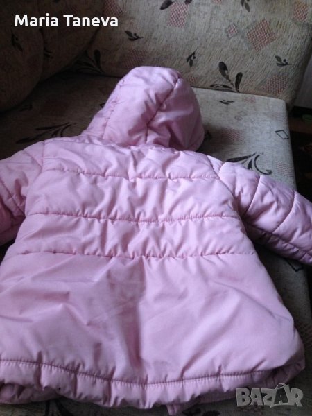 Шушляково яке, снимка 1