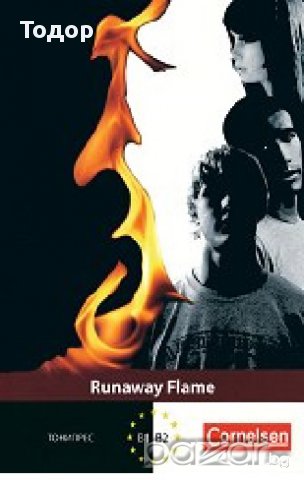 The Runaway Flame -20%
