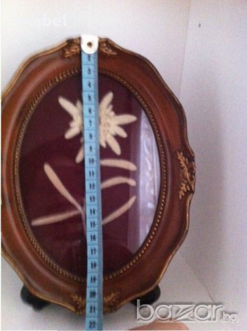 Рамка за снимка, снимка 3 - Други - 16432102