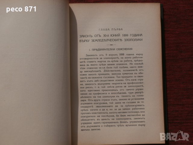 Земеделска икономика-Проф.Рене Вормс, снимка 2 - Други - 23900761