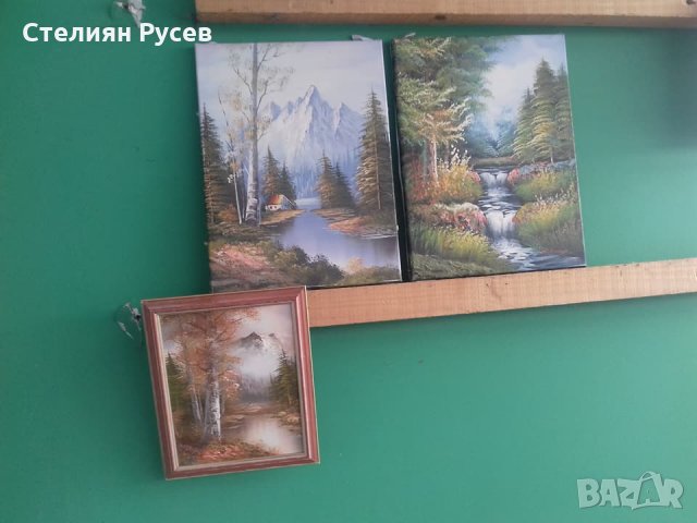  картини  / портрети / пейзажи -цена 30 лв, моля БЕЗ бартери -маслените са по 50 лв големите -малкит, снимка 3 - Картини - 21487870