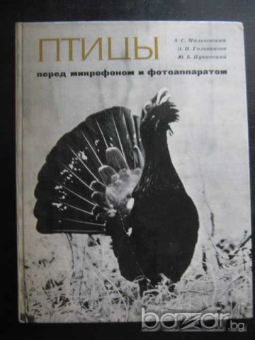 Книга "Птицы перед микроф. и фотоапар.-А.Мальчевский"-208стр