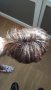 Немска перуки от изкуствен косъм, снимка 4