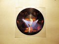 Vinyl-грамофонни плочи - MANFRED MANN / SANDii & THE SUNSETZ / GO GO'S - Picture Discs, снимка 14