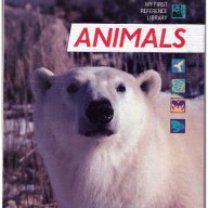 Детска енциклопедия Животни animals на английски език, снимка 1 - Енциклопедии, справочници - 10399173
