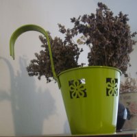 " Кашпа " - зелена, метална , висяща , снимка 1 - Градински цветя и растения - 23361745