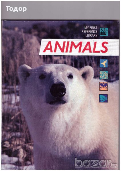 Детска енциклопедия Животни animals на английски език, снимка 1