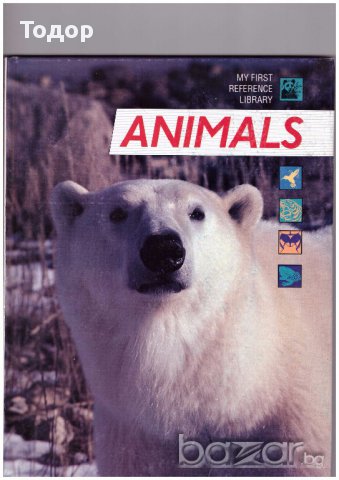 Детска енциклопедия Животни animals на английски език