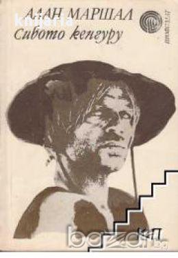 Сивото кенгуру, снимка 1