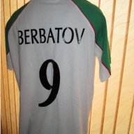 Тениска на България с яка - Сираков 10,Бербатов 9 и Стоичков 8 , снимка 9 - Тениски - 18331218