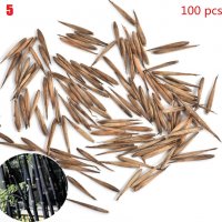 100 броя бамбукови семена от Декоративен бамбук Moso Bamboo лилав зелен цветен , снимка 7 - Сортови семена и луковици - 23954889