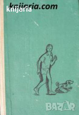 Библиотека Юношески романи: Черният ужас , снимка 1