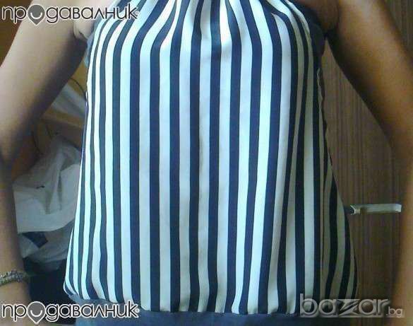 сив потник, снимка 1