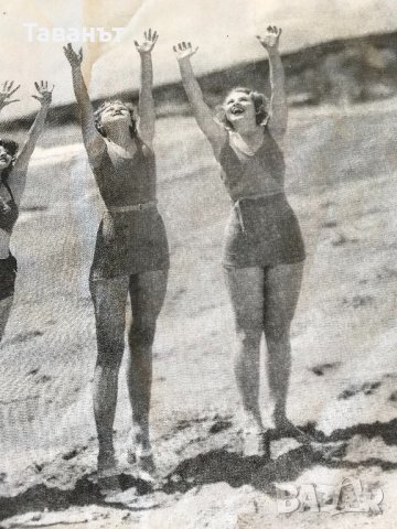 Арт калъфка Kremmerhuset, снимка 3 - Декорация за дома - 24638694