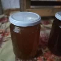 Пчелен мед реколта 2023, снимка 1 - Пчелни продукти - 21781881