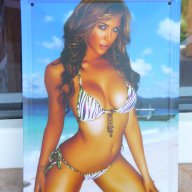 Метална табела еротика мацка бански бельо секси море плаж маце момиче, снимка 1 - Други ценни предмети - 15049660
