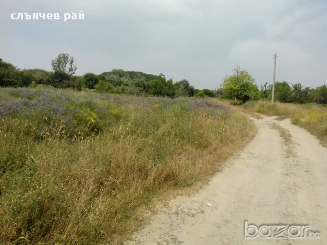 продава парцел в к.к.Слънчев бряг, снимка 7 - Парцели - 15026787