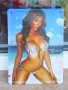 Метална табела еротика мацка бански бельо секси море плаж маце момиче, снимка 1 - Други ценни предмети - 15049660