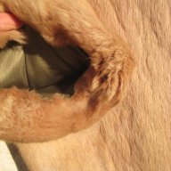  M​ размер Палто естествен косъм , снимка 10 - Палта, манта - 13119302