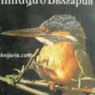 Защитени птици в България , снимка 1 - Художествена литература - 18237736