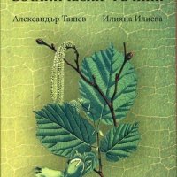 Латинско-български ботанически речник, снимка 1 - Специализирана литература - 22142842