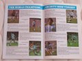 Англия - Аржентина оригинална футболна програма от 1980 г. с Диего Марадона и Даниел Пасарела, снимка 2