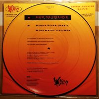 Vinyl/Lp-грамофонни плочи - Vixen / Marilyn Monroe - Picture Discs , снимка 4 - Грамофонни плочи - 20943981