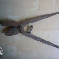 Старинни вет.медицински ножици за скопяване на животни, снимка 4 - Антикварни и старинни предмети - 11872098