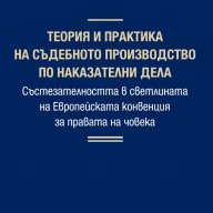 Теория и практика на съдебното производство по наказателни дела (Твърди корици), снимка 1 - Специализирана литература - 11206155