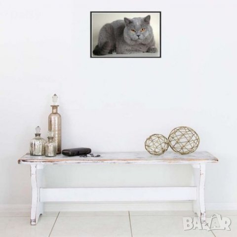 Диамантен гоблен"Сиво коте", снимка 3 - Гоблени - 25104076