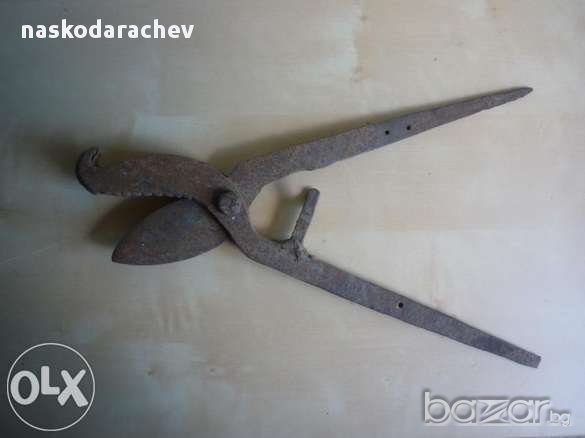 Старинни вет.медицински ножици за скопяване на животни, снимка 4 - Антикварни и старинни предмети - 11872098