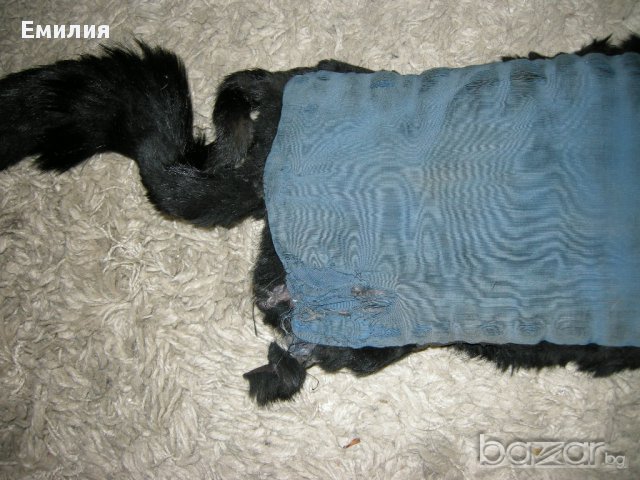 продавам стара яка от лисица, снимка 4 - Други - 14564717