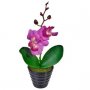 Изкуствена орхидея-25 см., снимка 1 - Декорация за дома - 20830986