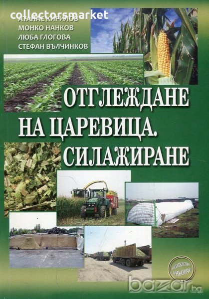 Отглеждане на царевица. Силажиране, снимка 1