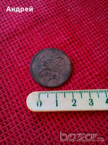 Стара Турска монета,Монети
