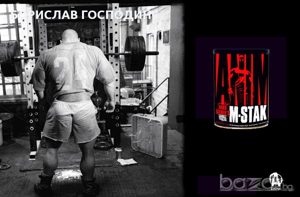 Universal Nutrition Animal M-Stak, 21 пакета, снимка 2 - Хранителни добавки - 8614430
