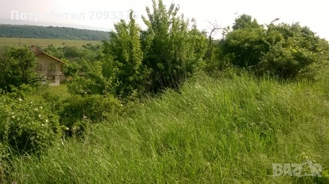Парцел с. Звездица, снимка 12 - Парцели - 23007156