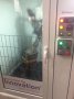      Машинно  почистване на катализатори и ДПФ филтри цена от 200до 300 лв., снимка 3