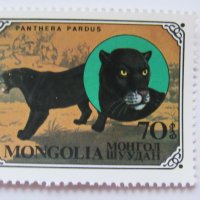 Дивите котки-сет от 7 марки, 1979, Монголия, снимка 7 - Филателия - 22374210