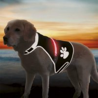 Светеща неопренова жилетка за кучета размер М от Trixie, снимка 1 - За кучета - 23470278