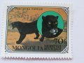 Дивите котки-сет от 7 марки, 1979, Монголия, снимка 7