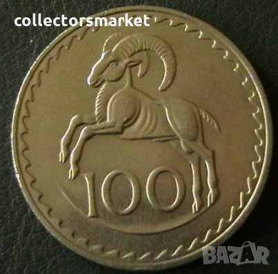 100 милс 1981, Кипър, снимка 1