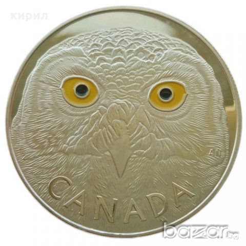МОНЕТА ЗЛАТНА СОВА